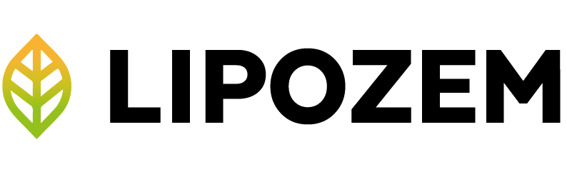 logo-b